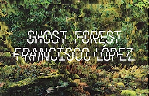 Ghost Forest.jpg